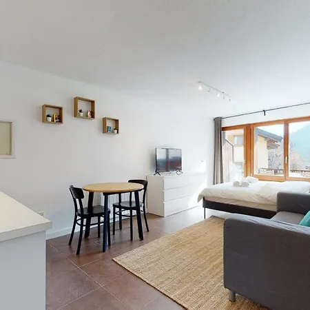 Modern Studio With A Large Sunny Terrace In Ovronnaz