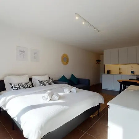 公寓 Modern Studio With A Large Sunny Terrace In Ovronnaz Leytron