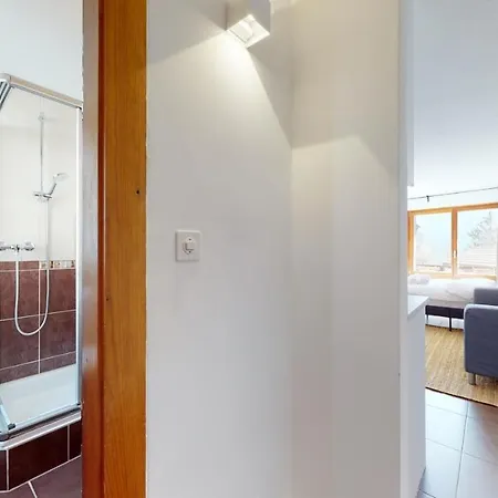 Modern Studio With A Large Sunny Terrace In Ovronnaz Leytron